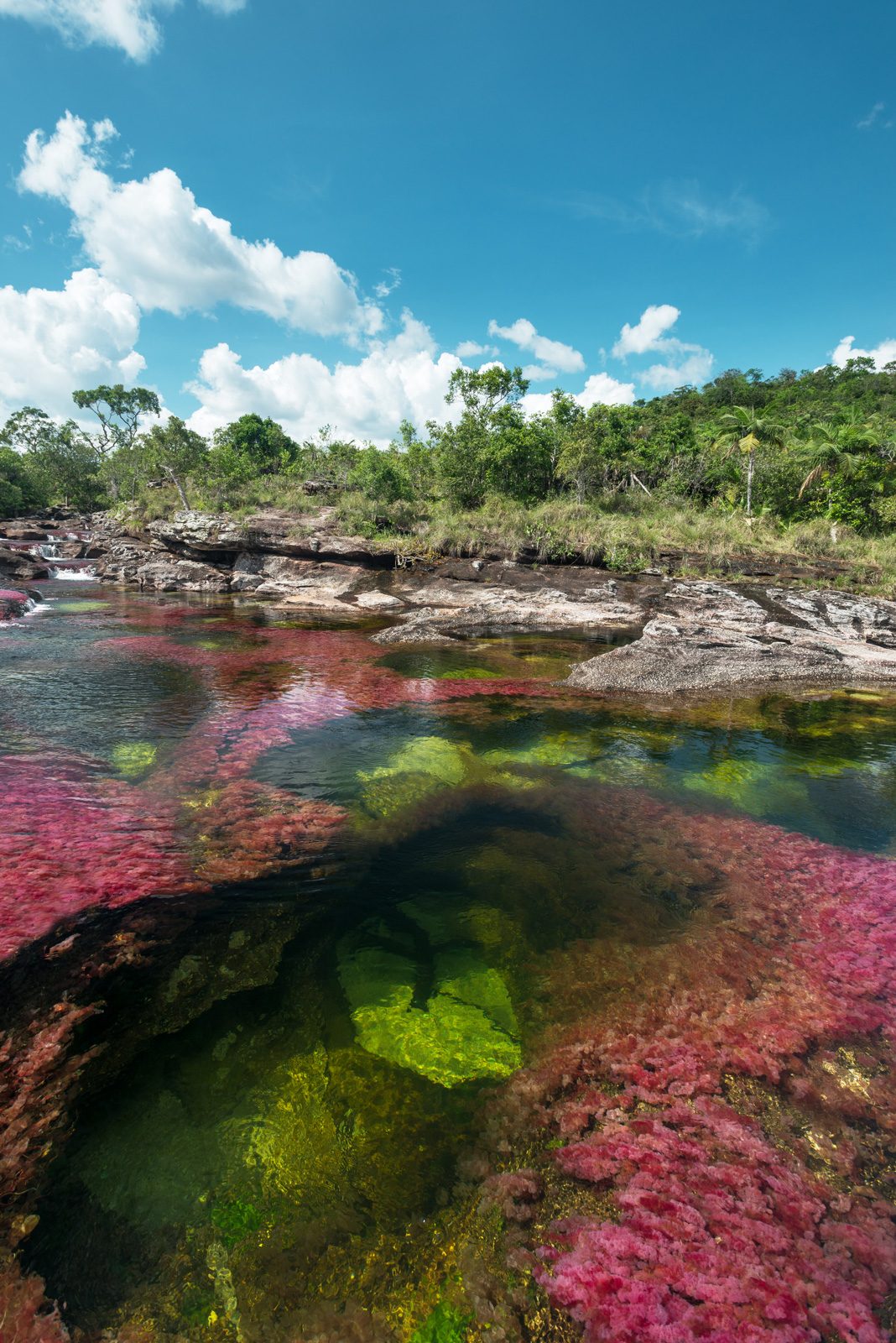 Caño Cristales, Meta